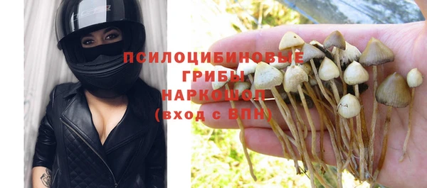 дурь Алексеевка